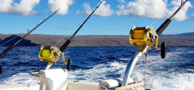 Conseils sur le matériel pour pêcher la liche à la traîne