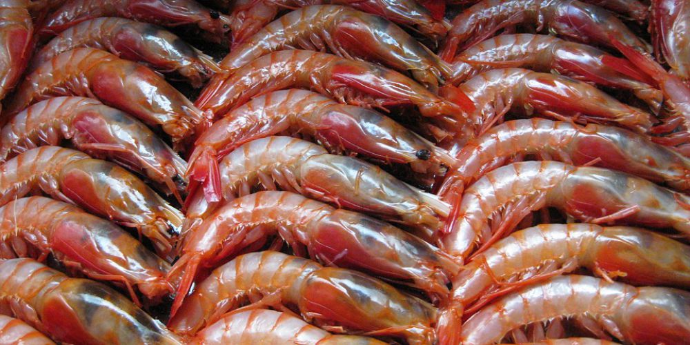 La gambas